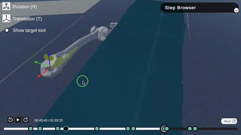 Fly Over